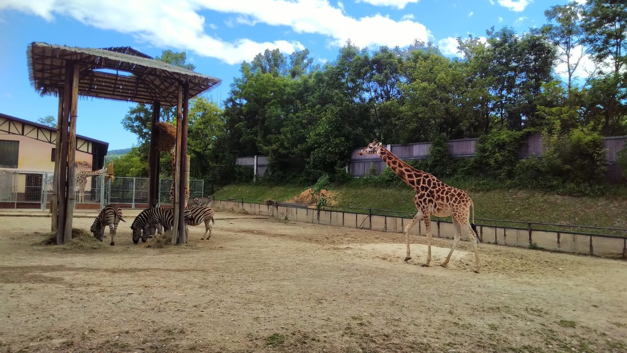 Deň detí 2024 ZOO Bratislava - kompletný program