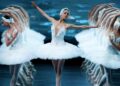 Royal London Ballet predvedie Labutie jazero v Bratislave