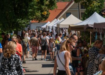 Vinobranie Modra 2024: Bohatý program pre celú rodinu